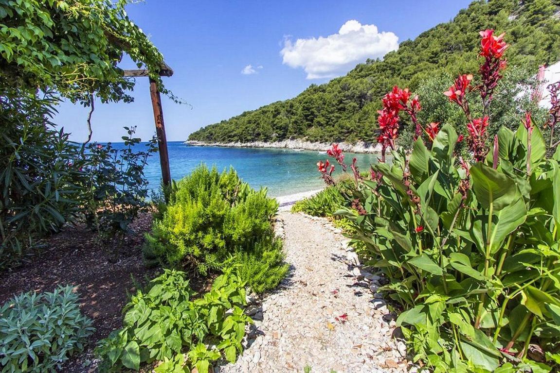 Seaside Secluded Apartments Cove Skozanje, Hvar - 5713 Gdinj Exterior foto
